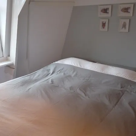 Eik 4 Apartment